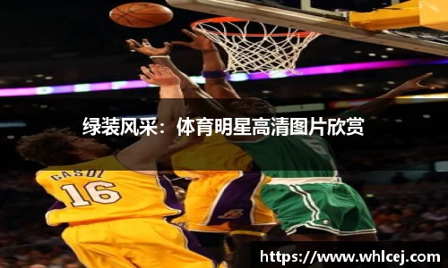 绿装风采：体育明星高清图片欣赏